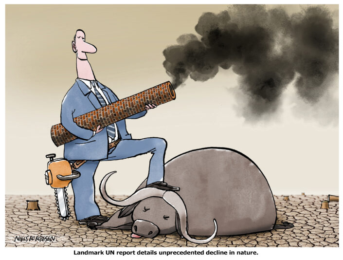 Landmark UN report details unprecedented decline in nature.