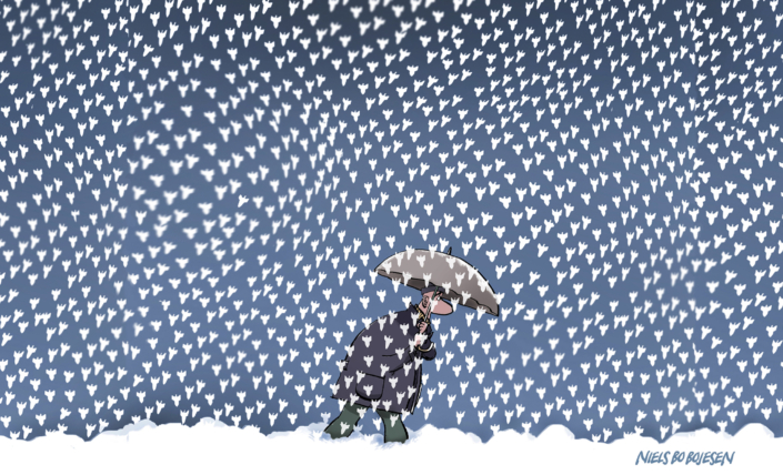 Niels Bo Bojesen 17-02-26 RGB